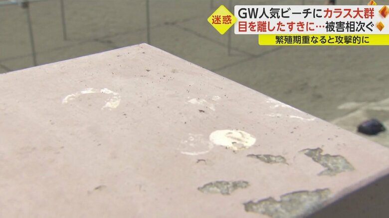 柵の上にもフン被害が…