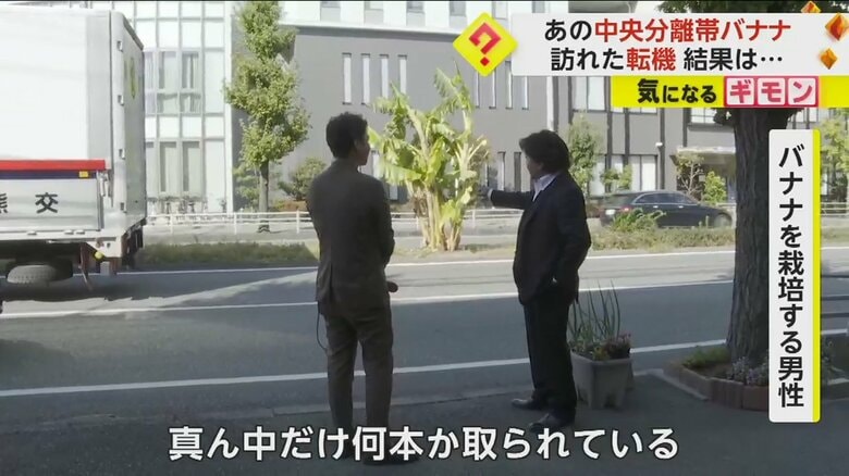 バナナを栽培する男性に話を聞くリポーター