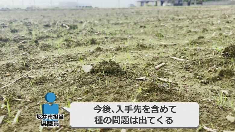在来種の種の確保が課題に