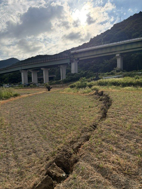 提供：熊本大学　鳥井真之特任准教授