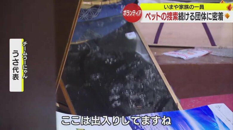 鏡にはネコの足跡