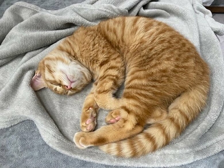 ぐっすり