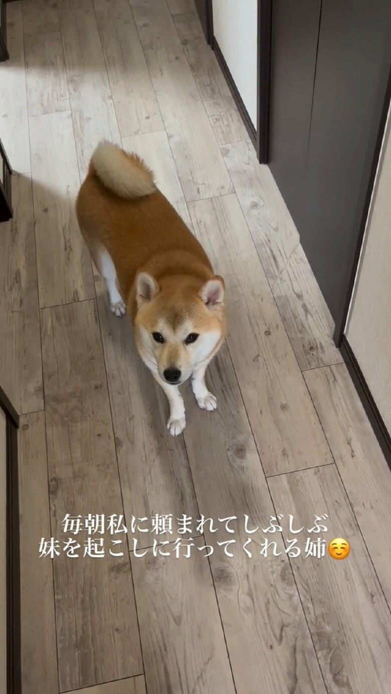 「どうしよう…」と悩み始める