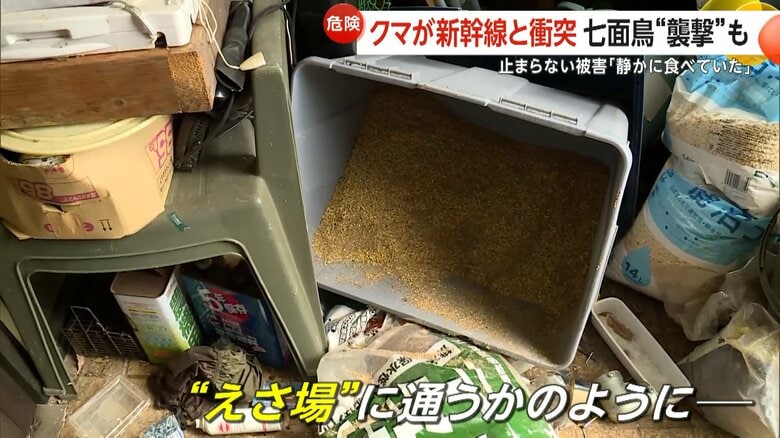 まるで餌場に通うかのように人里へとやってくるクマ