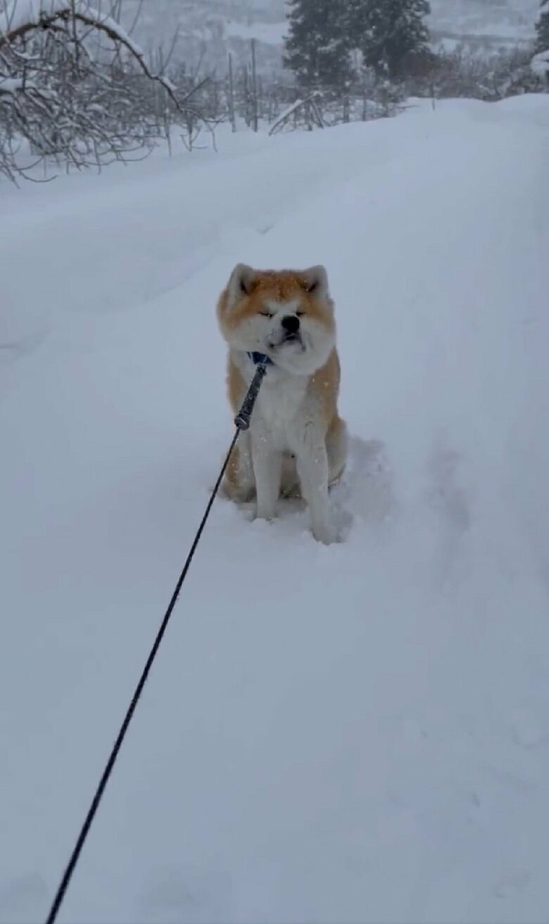 お尻が浮いても耐える