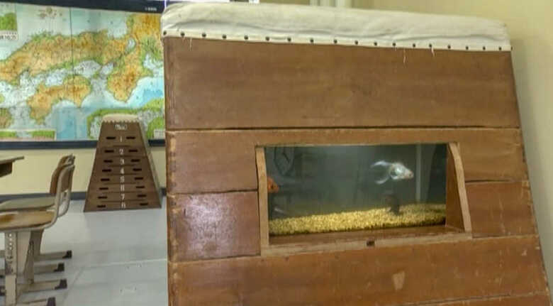跳び箱に金魚。壁には日本地図