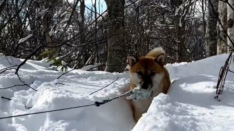 雪遊びを満喫する様子