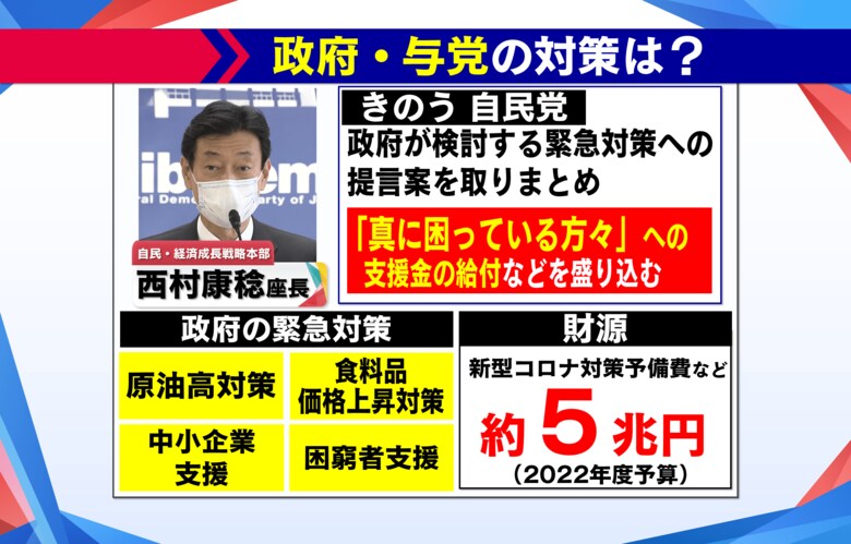 日本政府の対策は？