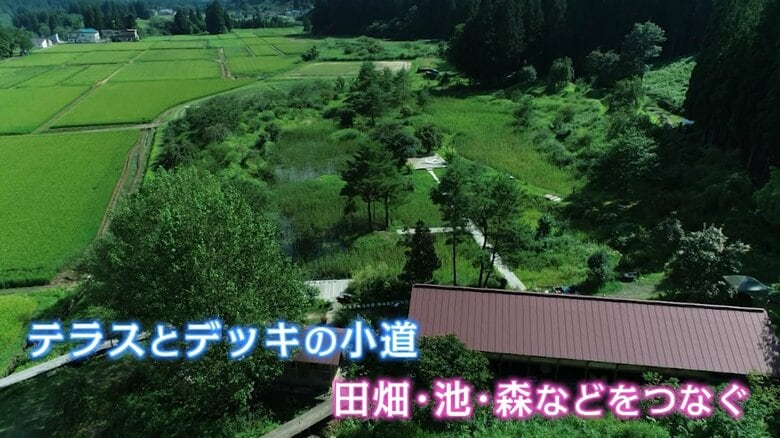 「自然」と「人工」融合する森のテラス