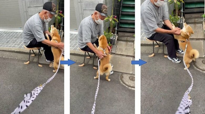 青果店のおっちゃんへ「なでて」と甘えている