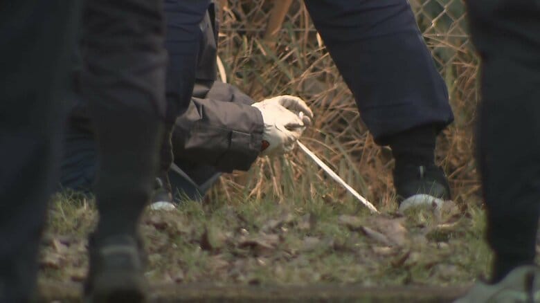 頭蓋骨のようなものが見つかった赤塚公園　東京・板橋区