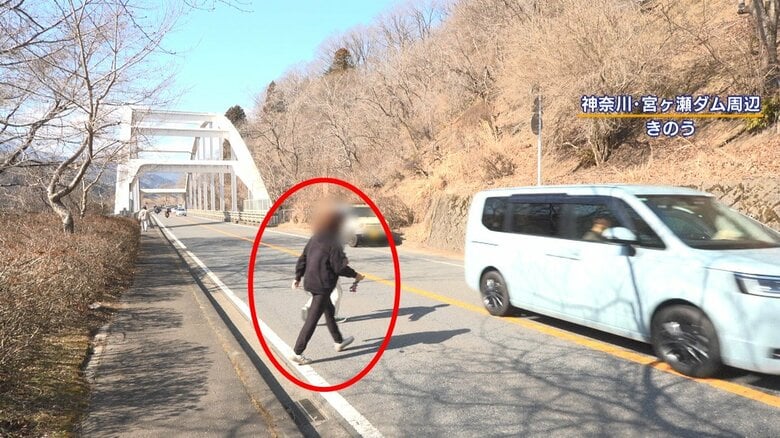 車が往来しているのを気にもせず、道路を横断