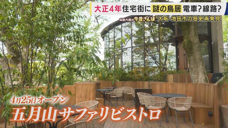 五月山サファリビストロ