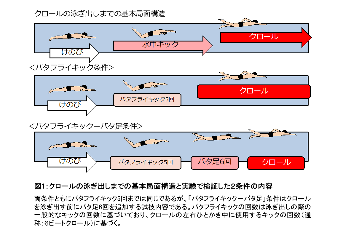 クロールでの泳ぎ出し前のバタ足は大きな減速の原因に