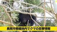 【クマ目撃情報】新潟・長岡市でクマの目撃情報が相次ぐ　民家直近で警察と市が警戒