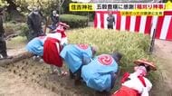 住吉神社で「稲刈り神事」　五穀豊穣に感謝　収穫された米は11月23日「新穀感謝祭」で奉納　福岡市