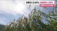 9月14日の福島県　熱中症など体調管理に注意　最低気温が20.8℃の会津若松市では真夏日予報