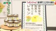  廃棄物ほぼゼロ！持続可能な「レモンジャム」高校生が開発　地元レモンをふんだんに使用　3月22日から販売