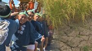 今夏日本一の暑さ記録した新潟 “異常な夏”をプレーバック　祭りや帰省楽しむ一方で農家は猛暑に苦しむ