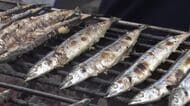 「初さんま祭」秋の味覚味わう　全国有数の水揚げ地　岩手・大船渡市