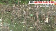 コメや野菜にも被害…県管理の水門不具合などで農業用水に塩分　倉敷市議会議長らが県に対応求める【岡山】