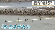 海に浮かべた長さ20メートルのゴザを一気にダッシュ！　落ちるか走り切れるか…美しい海を全身で満喫「水上ゴザ走り」開催　徳島・海陽町