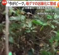 「国レベルの抜本対策が必要」3連休に13人目の熊犠牲者か？女性遺体に“かまれた痕”　男性ハンターも襲われ大ケガ　北海道・岩手・秋田・山形・京都