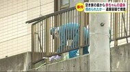 「土の中から体の一部が…」 空き家の庭から赤ちゃんの遺体 埋められたか… 死体遺棄容疑で捜査