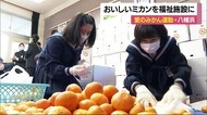 ミカンの里・八幡浜市の小・中学校で「愛のみかん運動」福祉施設へプレゼント【愛媛】
