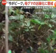 「国レベルの抜本対策が必要」3連休に13人目の熊犠牲者か？女性遺体に“かまれた痕”　男性ハンターも襲われ大ケガ　北海道・岩手・秋田・山形・京都