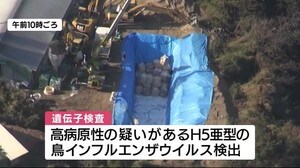 養鶏場のニワトリから高病原性の疑いのある鳥インフルエンザウイルス検出 殺処分開始 鹿児島・さつま町