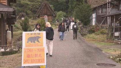 紅葉シーズンのなか全国で相次ぐ“クマによる被害” ライトアップを中止した所も「安全が100％担保されない」