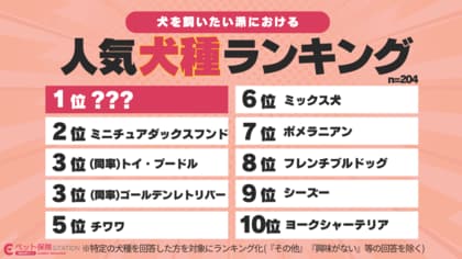 「可愛いだけでは飼えない」犬を飼わない派が約6割の衝撃。2026年人気犬種ランキングと飼い主が後悔した“家計の誤算”とは？