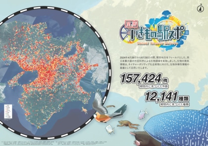 【結果報告】「関西いきもの駅スポ」を通じ15万件以上の生物発見データ収集を実現!