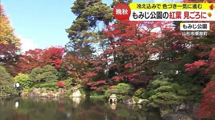 190本の木が晩秋の園内彩る　名所・もみじ公園の紅葉が見頃　「一生の思い出に」晴れ着姿で写真撮る人も【山形発】
