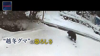 視界の外から突然襲われる恐怖…大雪降るも「雪かきできない」　住宅街で襲撃“越冬グマ”を独自追跡　ドローンにクマの姿も
