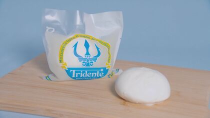 輸入物は価格不安定で環境負荷も大…プロの料理人も評価する“地産地消”のモッツァレラチーズ 国産チーズの未来【岐阜発】