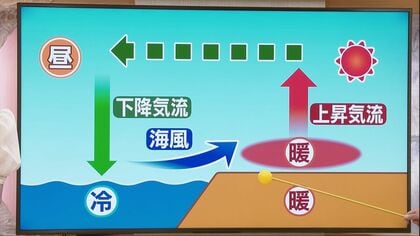 9月に入っても猛暑日記録でヘトヘト…暑い日に涼をもたらす“海風”のメカニズムを気象予報士が詳しく解説