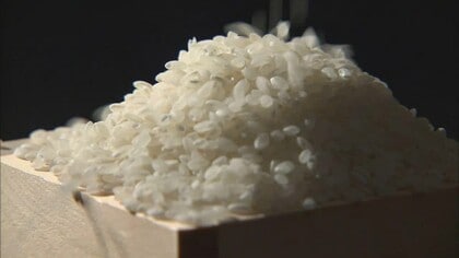 【速報】JA福井県が2025年産コシヒカリの“内金”を60キロあたり2万2000円以上に決定　前年から4800円増額　米の“獲得競争”見越し異例の提示