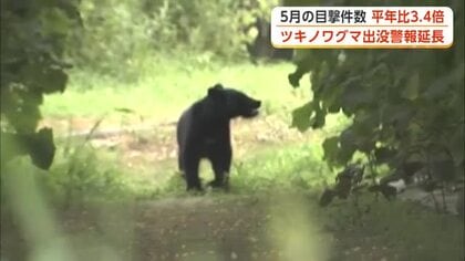 ツキノワグマ出没警報、7月末まで延長　5月の目撃件数、平年比3.4倍　被害対策の徹底呼びかけ　秋田