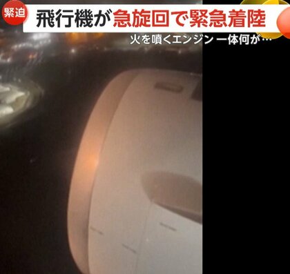 「ブーン」異様な音が機内に…爆発音とともにエンジンが火を噴く“バードストライク”の瞬間　アメリカ・ニューヨーク