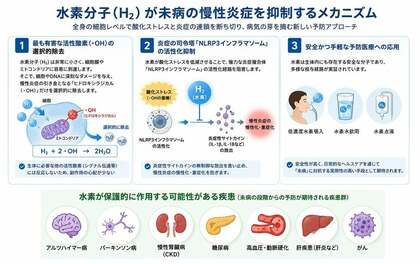低濃度水素が「未病」の慢性炎症を抑制する可能性｜MiZ・UC Berkeley・慶應義塾大学 総説