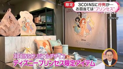 3連休値下げ プリンセスハウス　額絵　ティーポット プリンセス ティーポット 1000ml|ロイヤル コペンハーゲン 公式