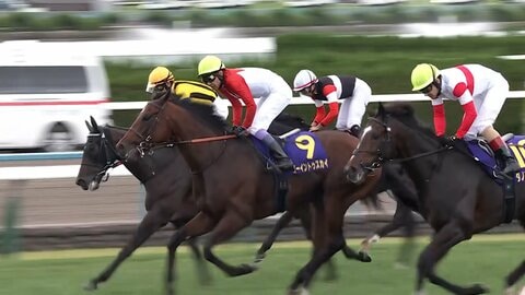 【菊花賞・GI】ゴーイントゥスカイがクラシック最終戦を制す　武豊騎手 菊花賞歴代最多の6勝目