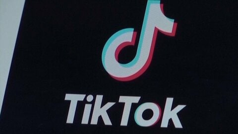 「TikTokに中毒性」EUが規制法に違反との見解