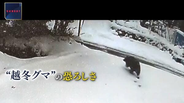 img_5d54980af4f8e94c8d0f38fbe2
