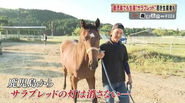 鹿児島からサラブレッドの灯は消さない」薩摩の地に息づく馬文化 若きサラブレッド生産者の挑戦｜FNNプライムオンライン