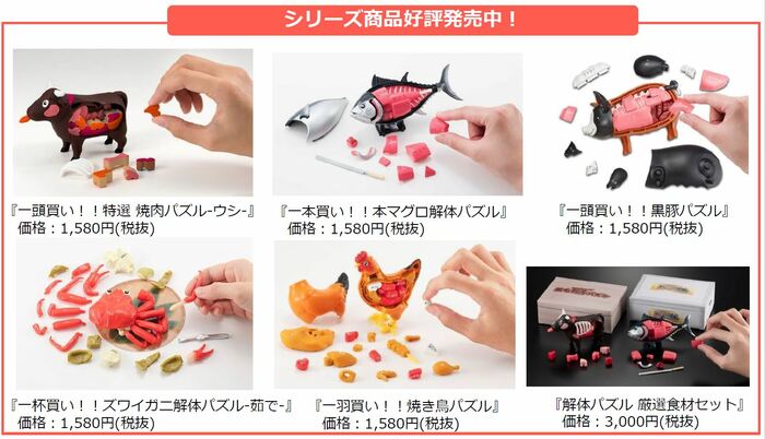 提供:株式会社メガハウス
