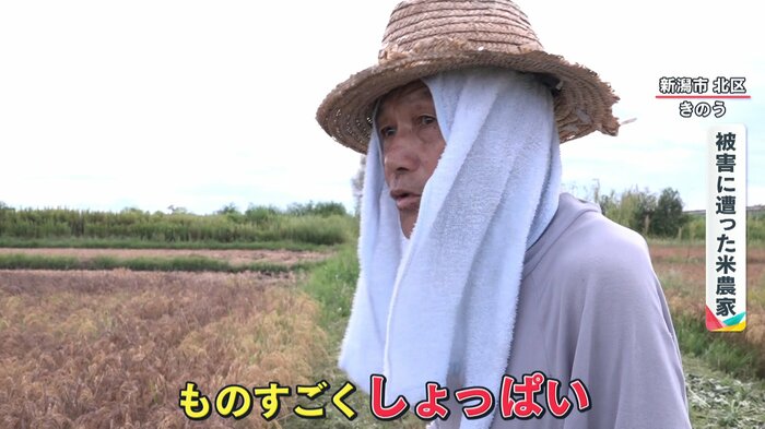 (被害に遭った米農家)
