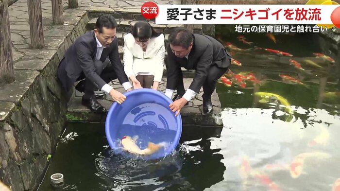 「丹頂紅白」という品種のニシキゴイを放流された愛子さま